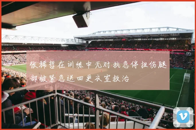 张稀哲在训练中无对抗急停扭伤腿部被紧急送回更衣室救治